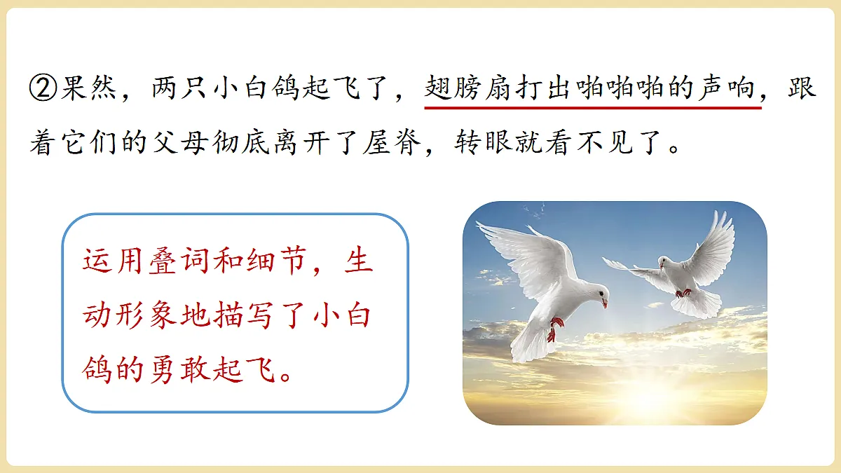 18447365第8页