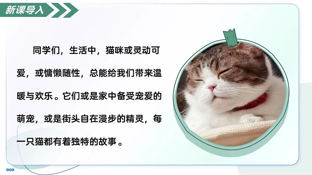 18447369第3页