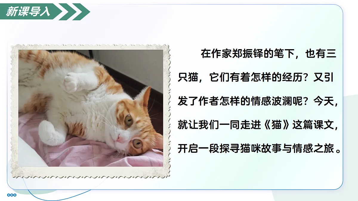 18447369第4页