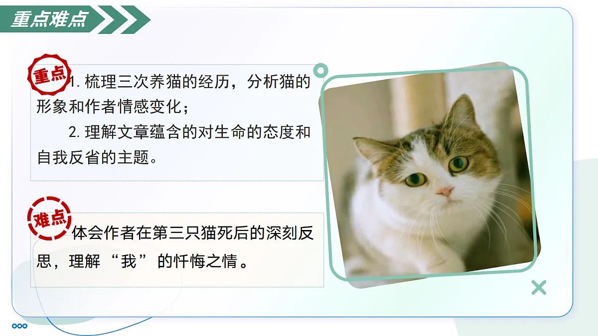 18447369第6页