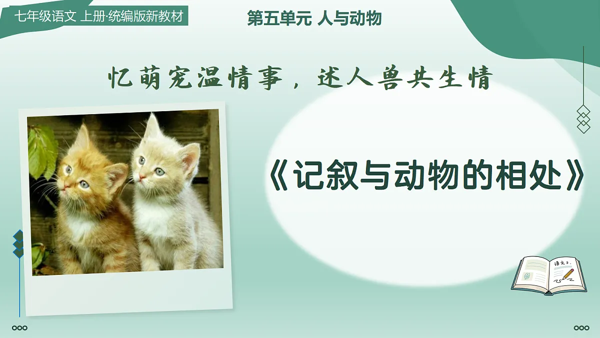 18447371第1页