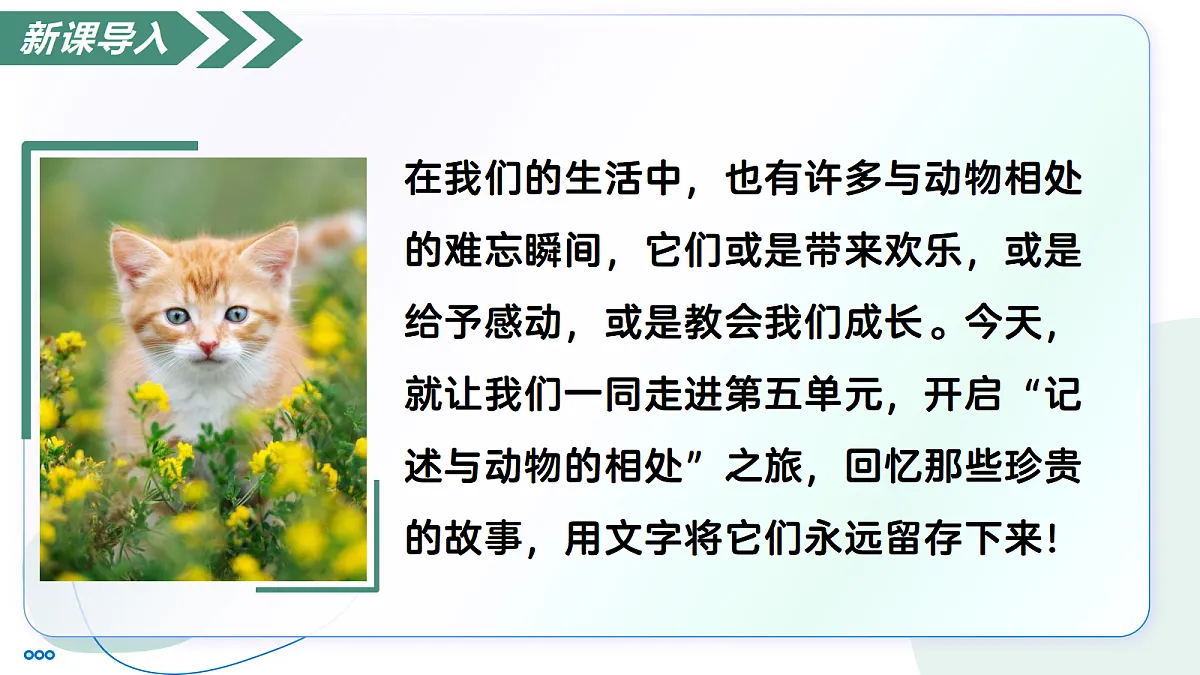 18447371第3页