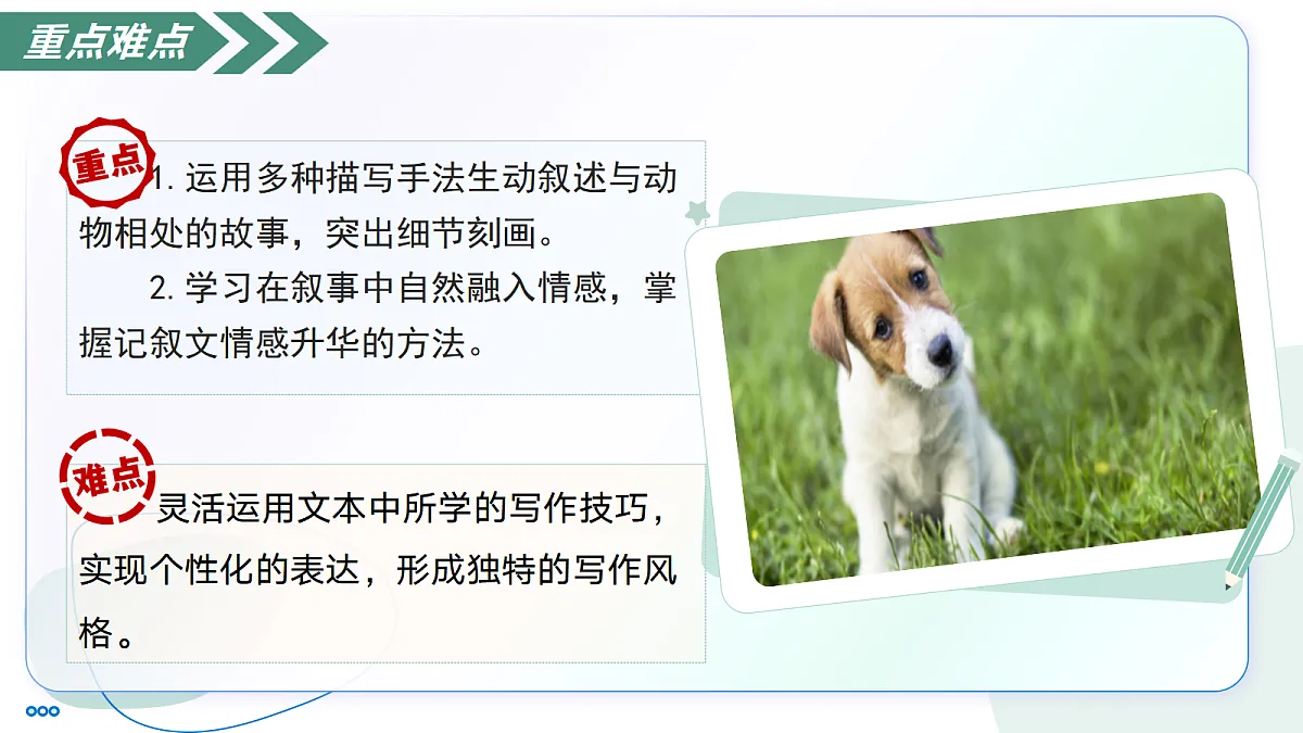 18447371第5页