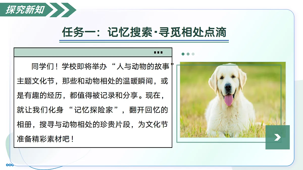18447371第7页