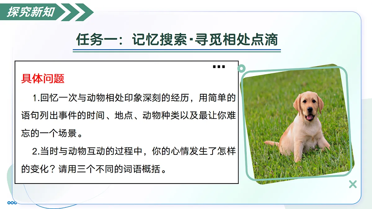 18447371第8页