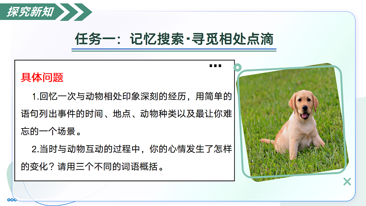 18447371第8页
