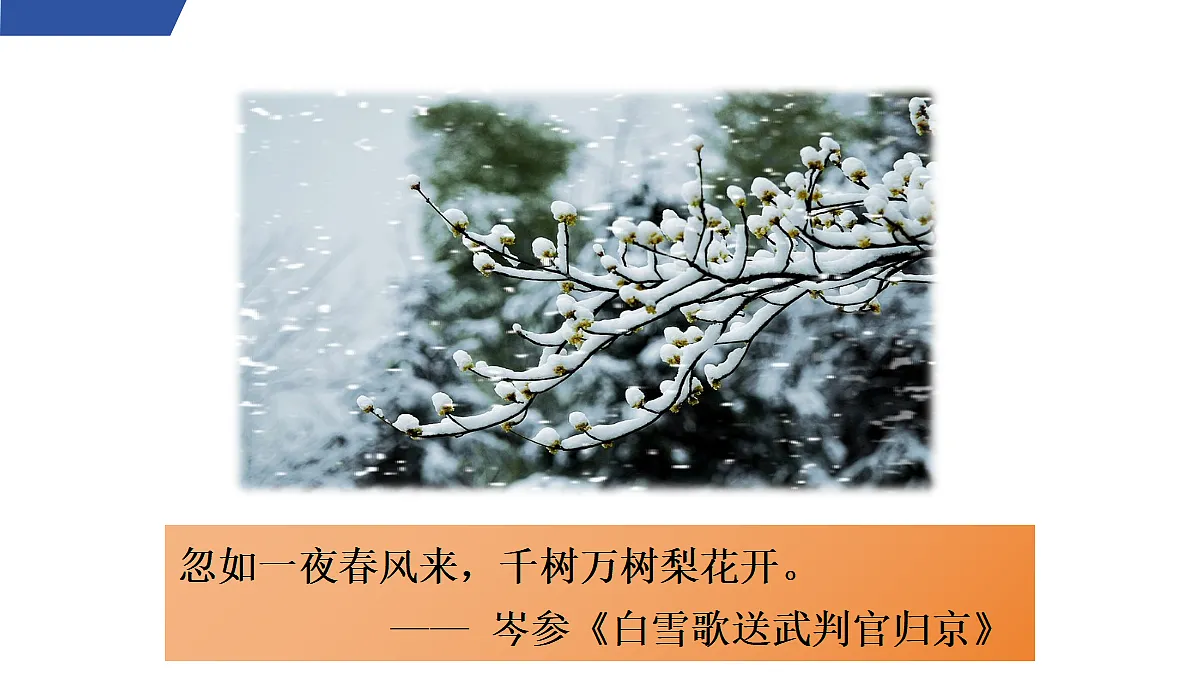 1 《沁园春·雪》第1课时第5页