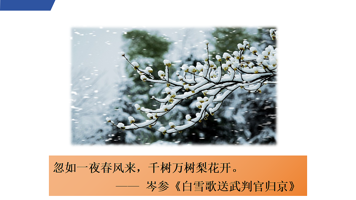 1 《沁园春·雪》第1课时第5页
