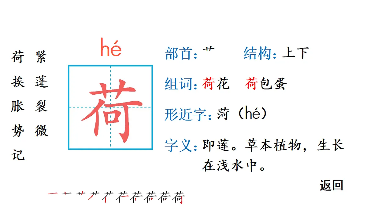 18448809第3页