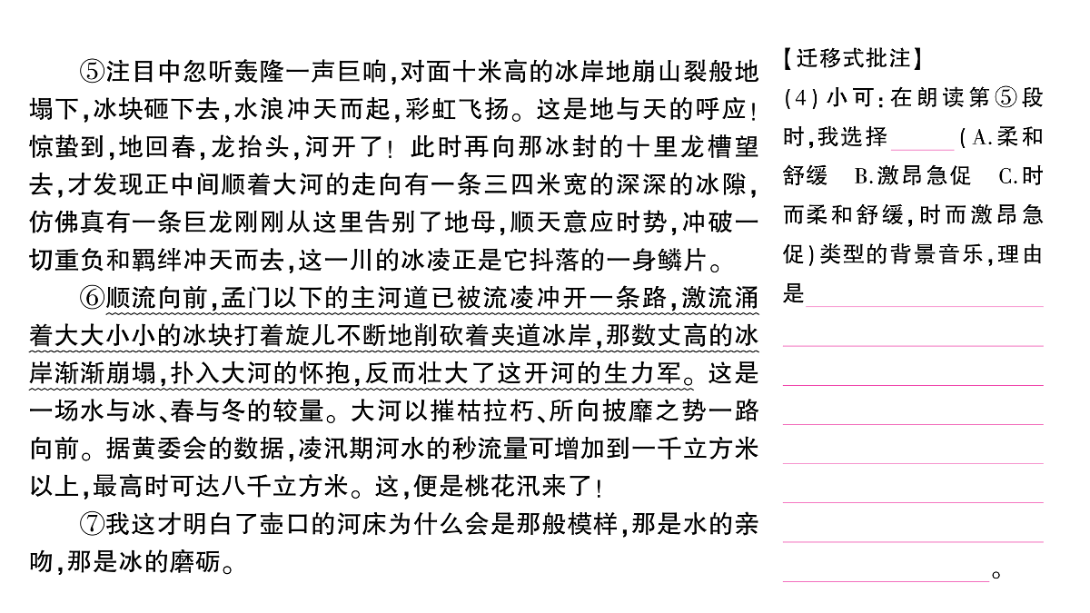 18448858第6页