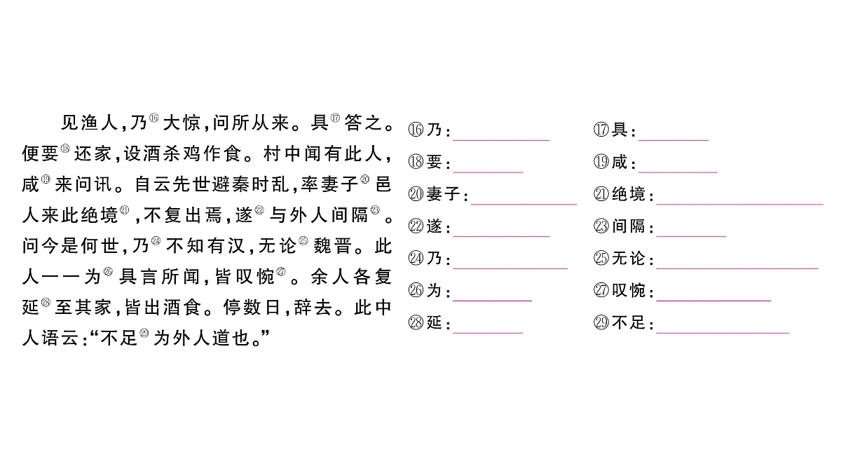 18448864第3页