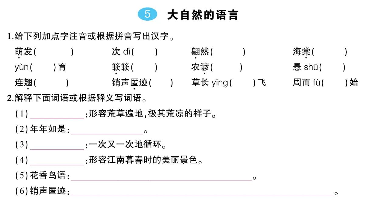18448866第2页