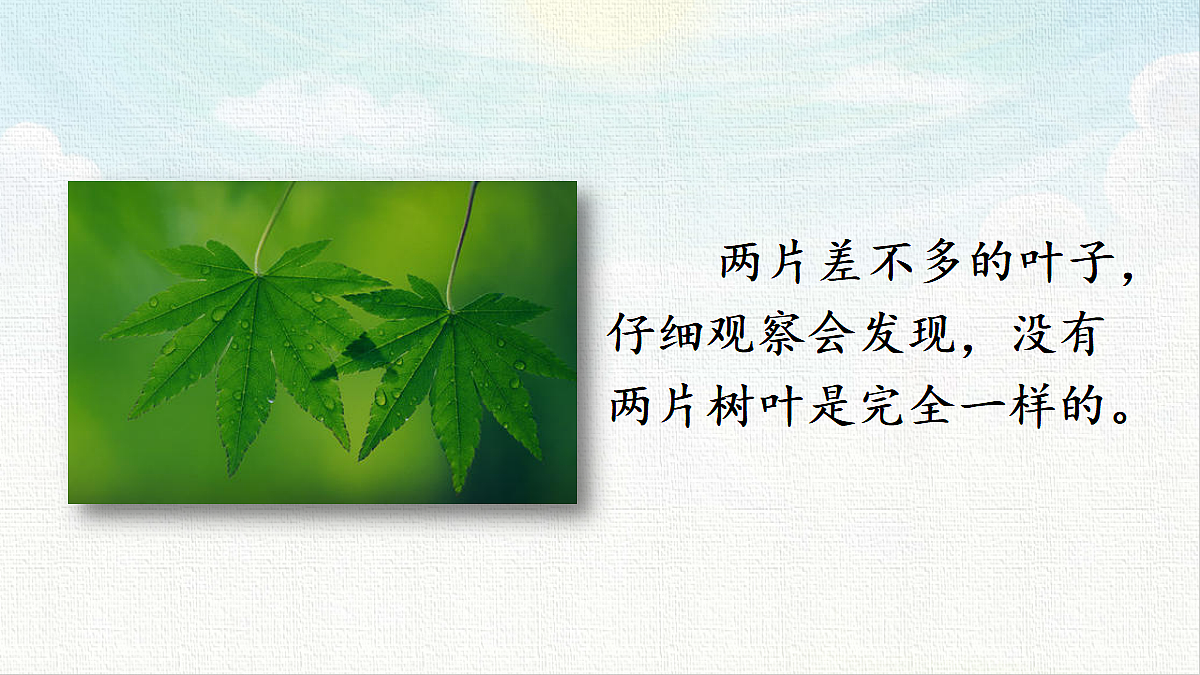 18449856第3页