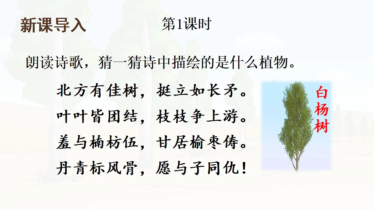 18450645第2页