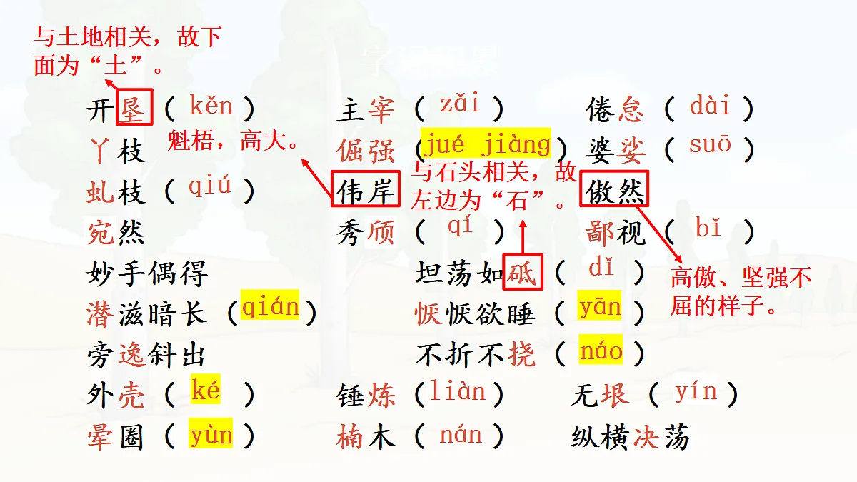 18450645第5页