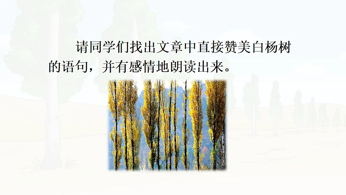 18450645第8页