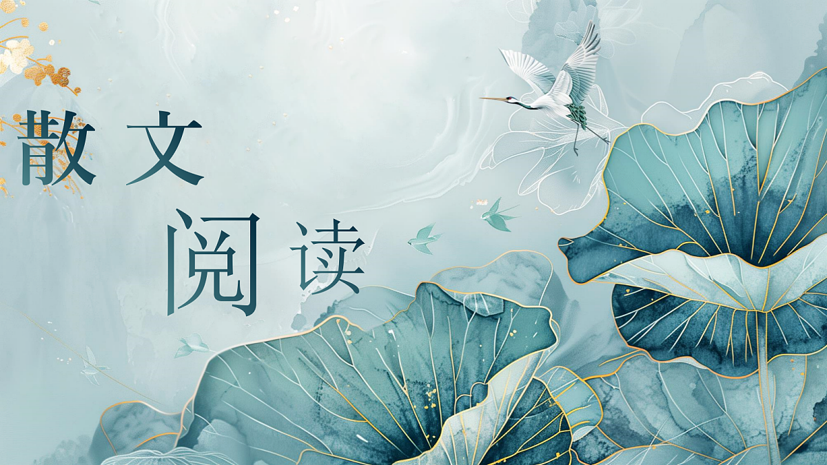 18451247第1页