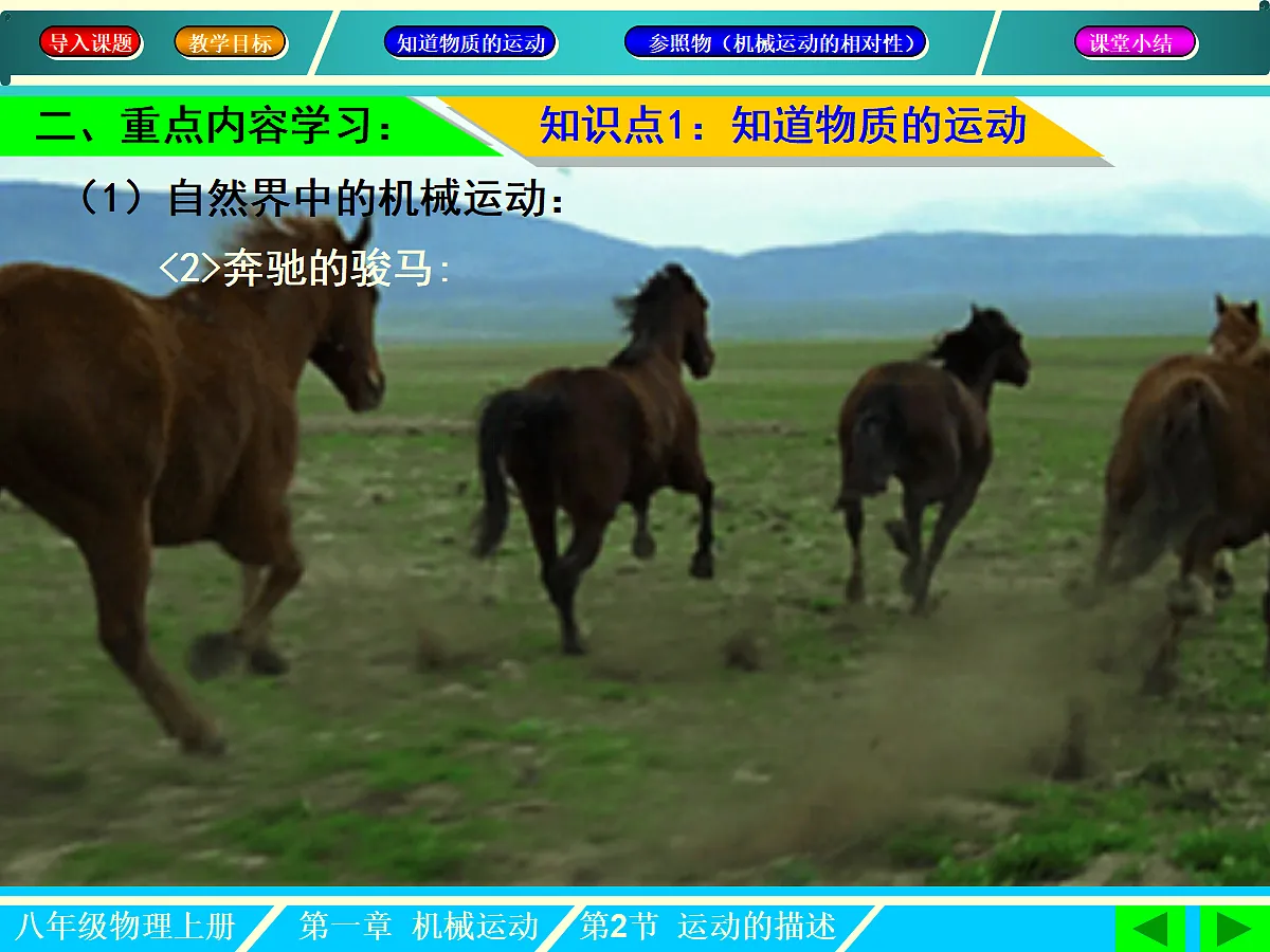 18452881第7页