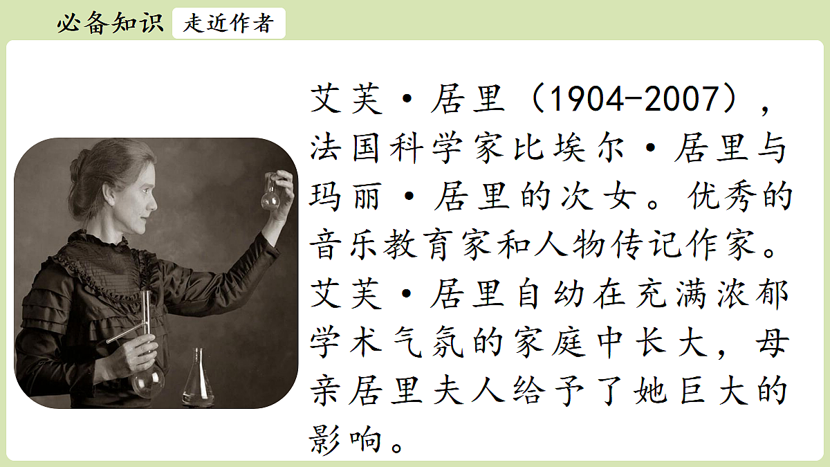 18453137第6页