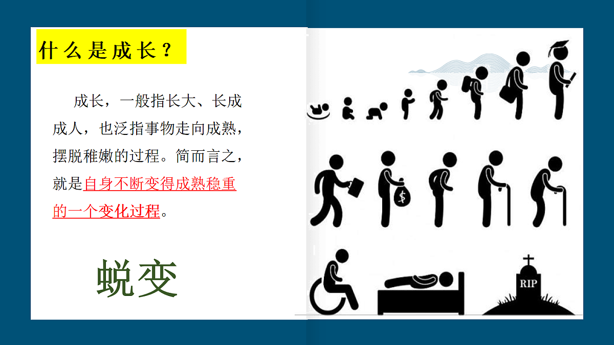18453276第7页