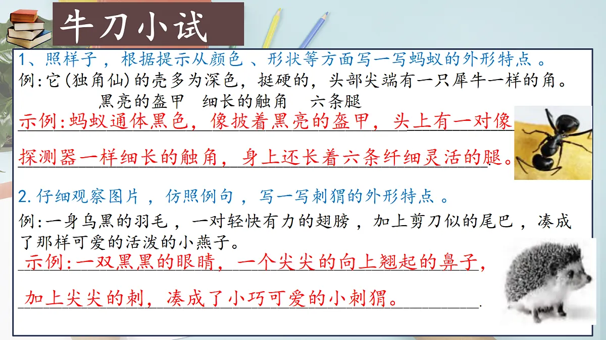 18454227第5页