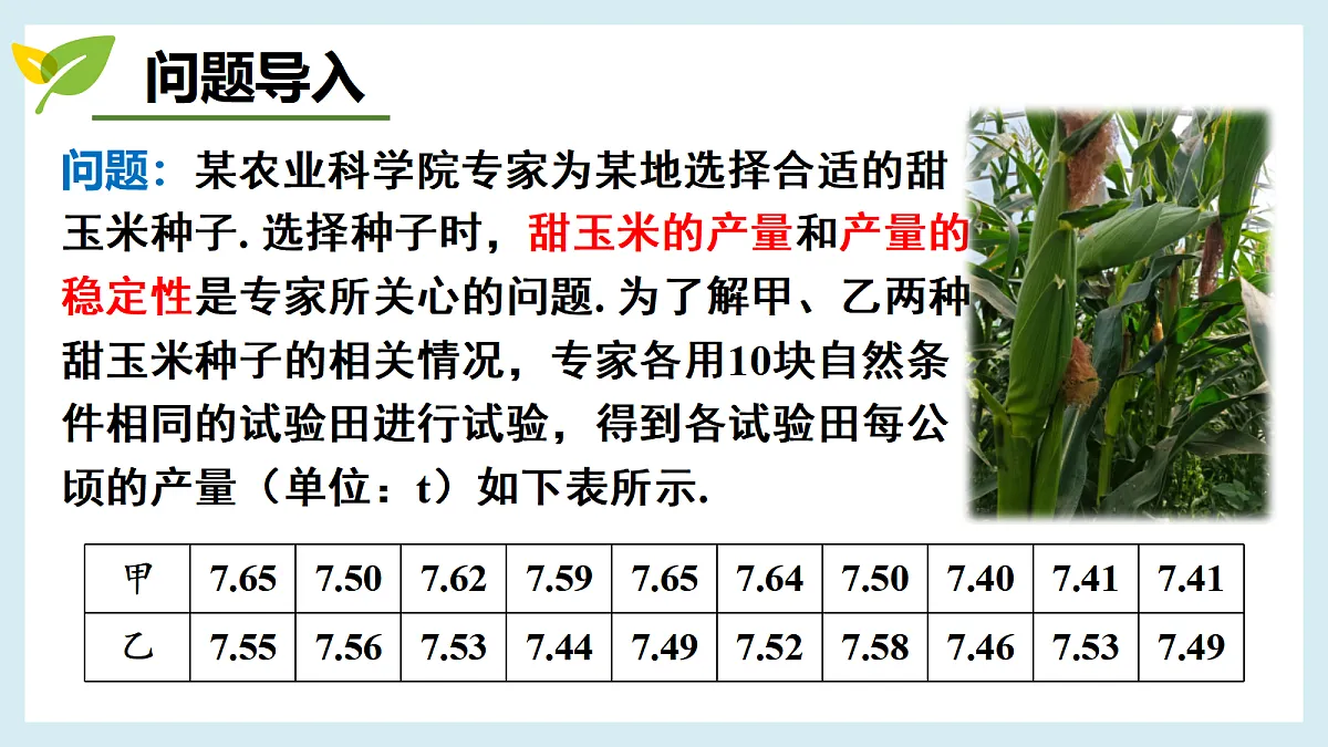 18454828第3页