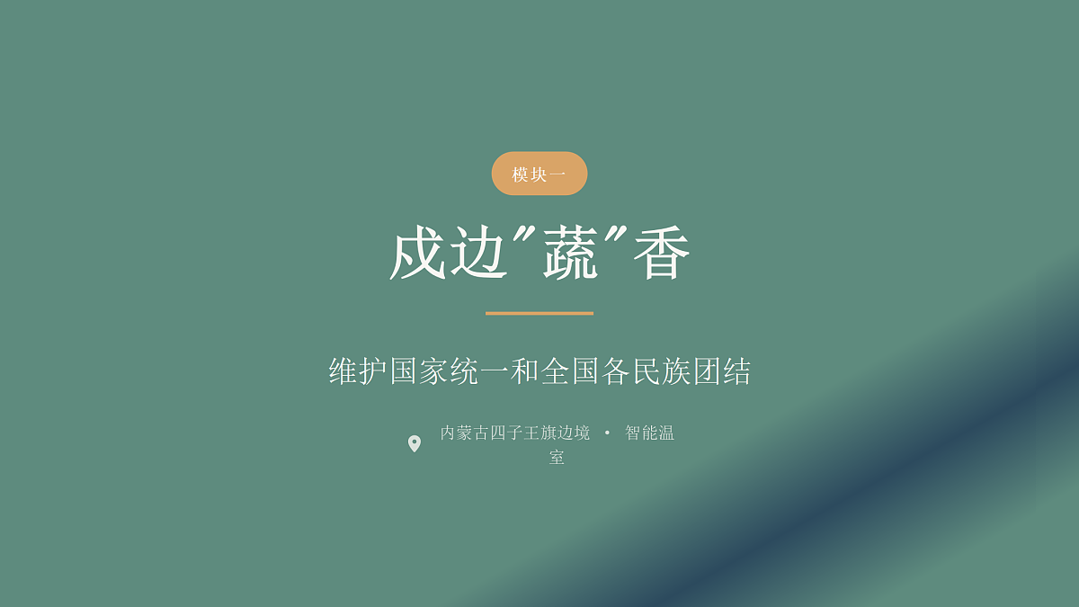 18456013第3页
