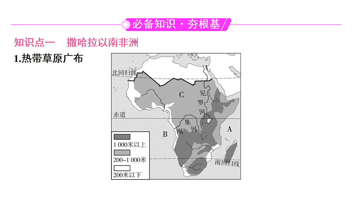 18456120第2页