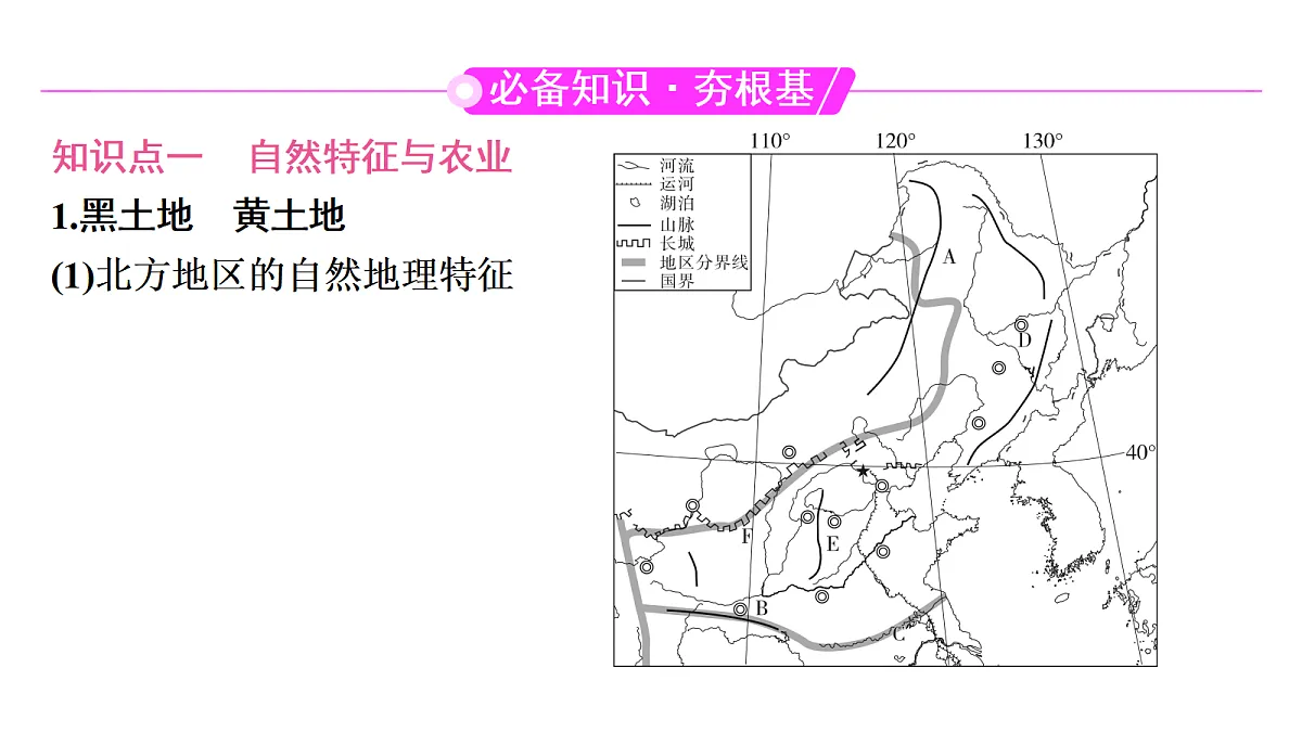18456130第3页