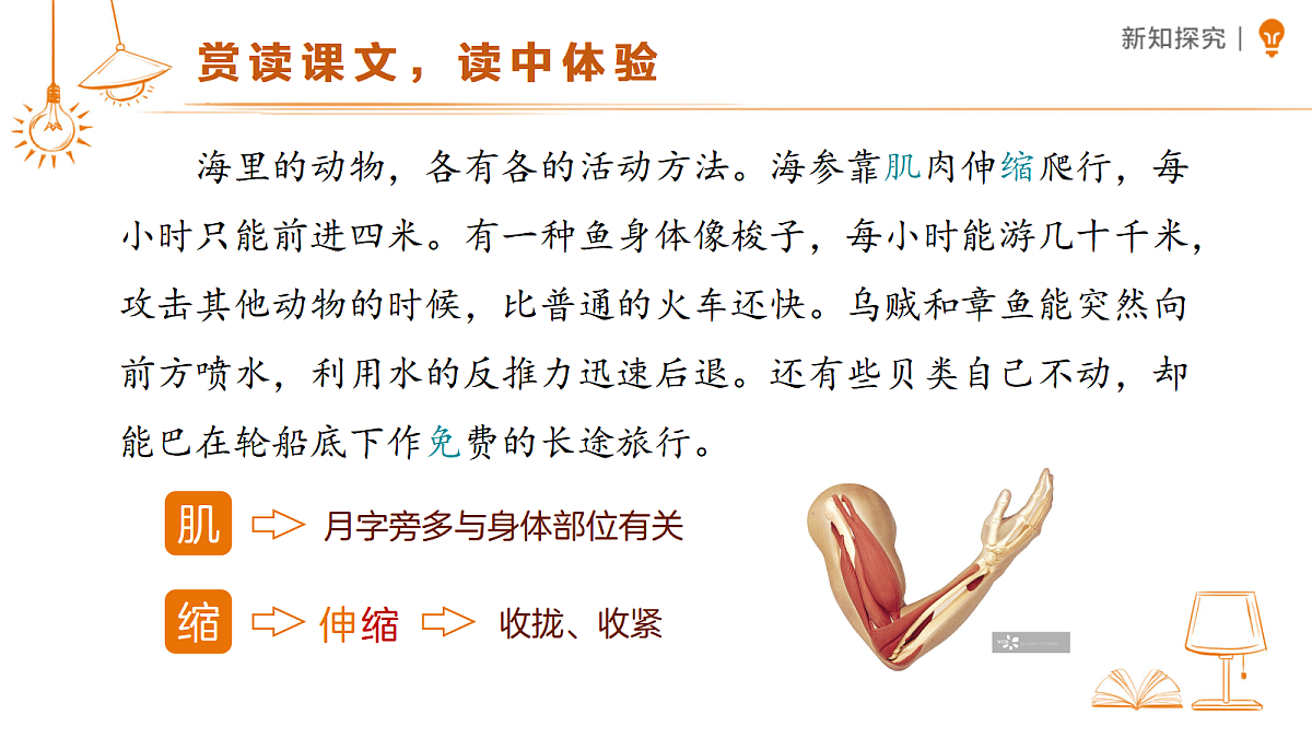 18459568第5页