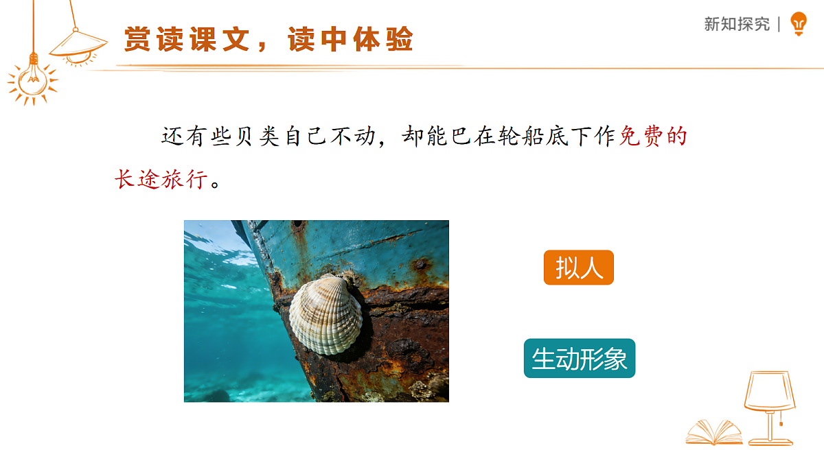 18459568第8页