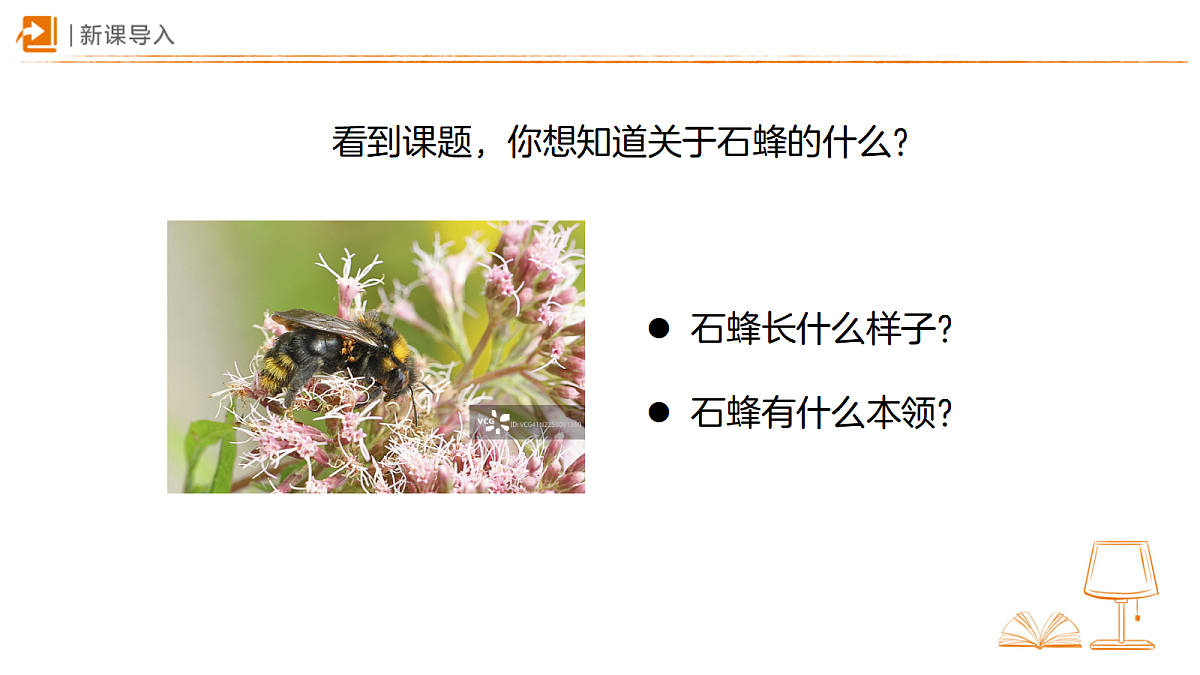 18459569第2页