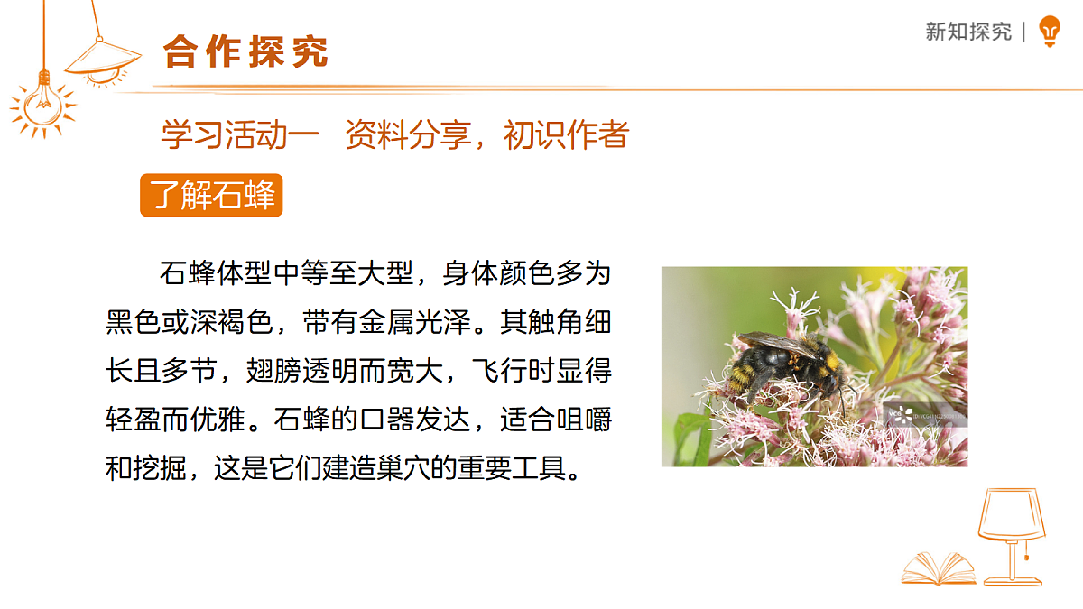 18459569第3页