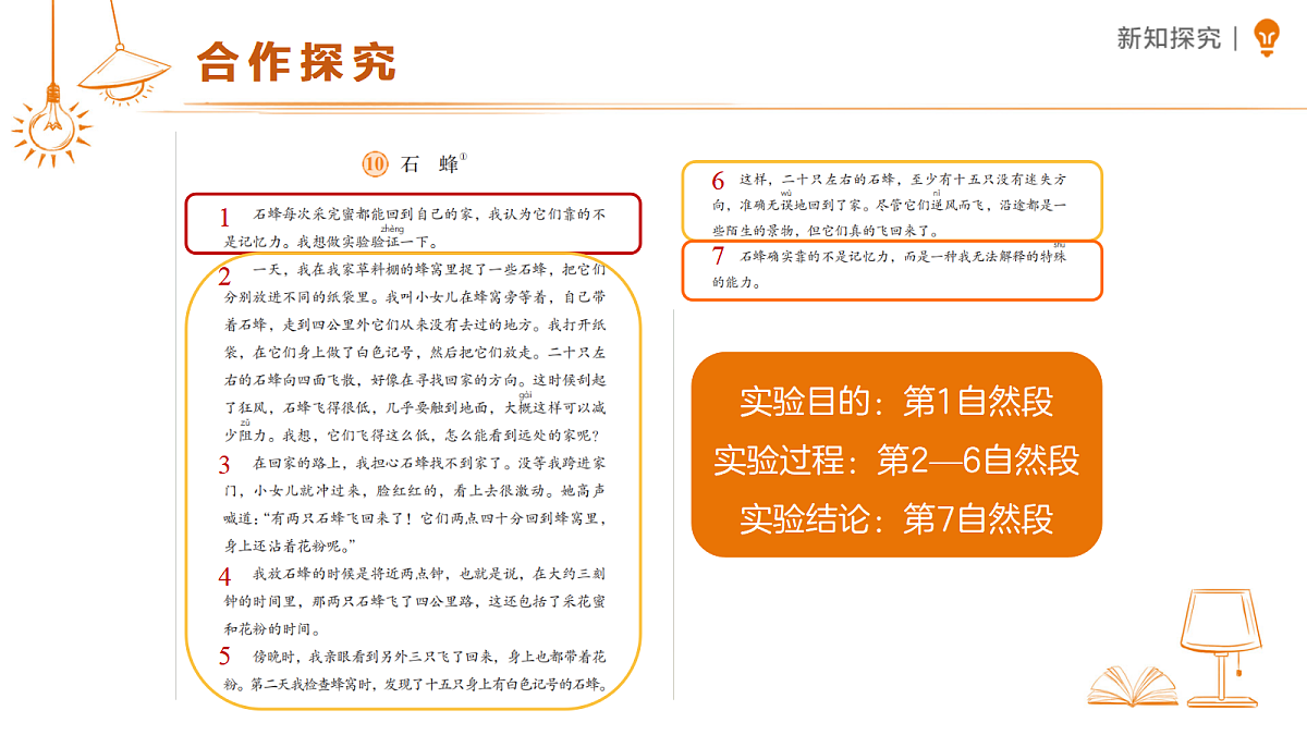 18459569第7页