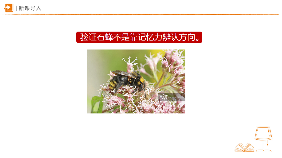 18459570第2页