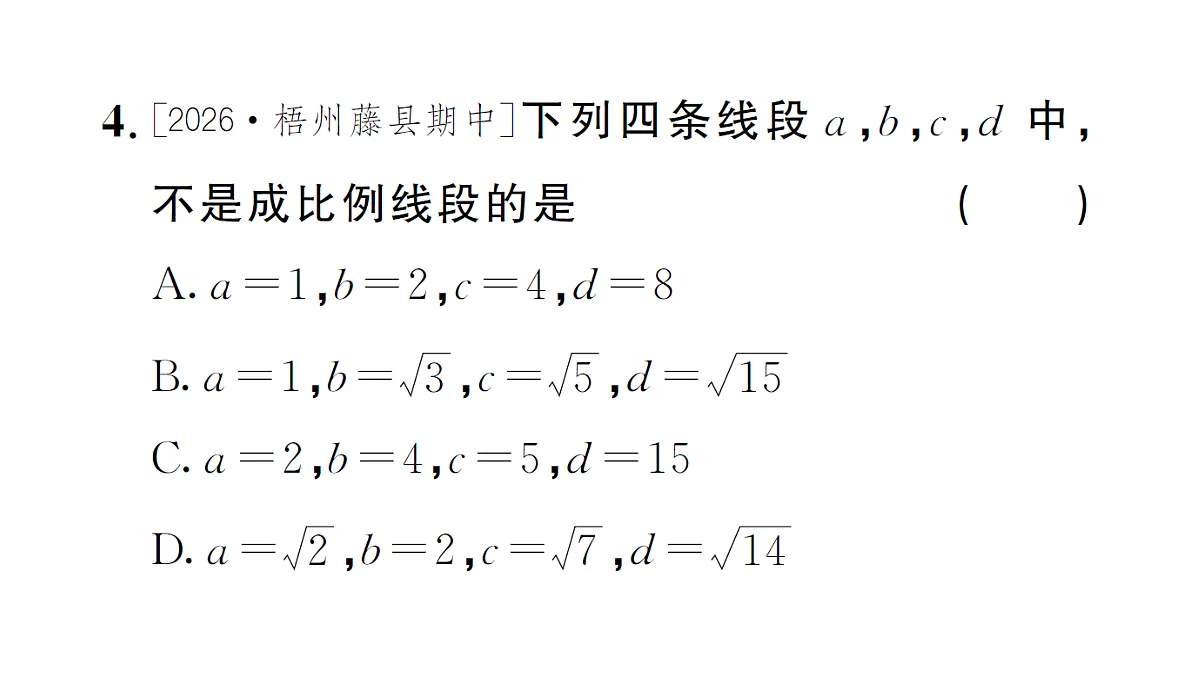 18463167第5页