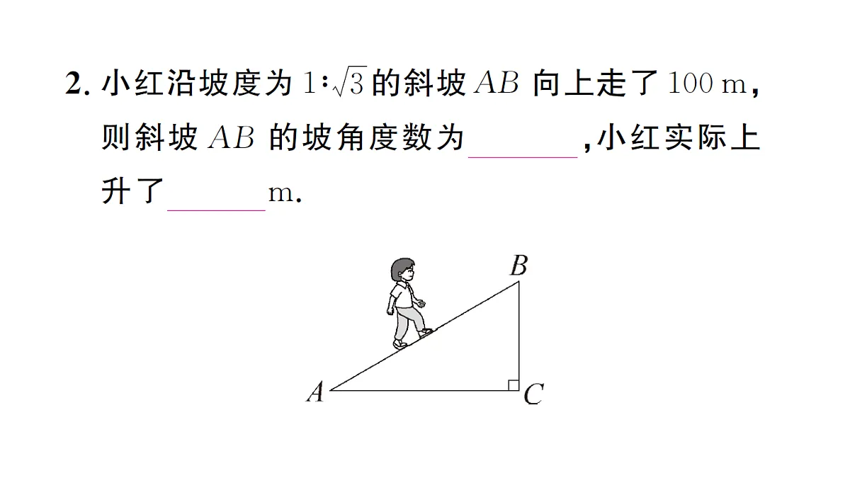18463235第3页