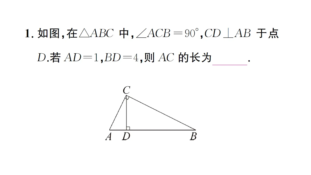 18463250第3页