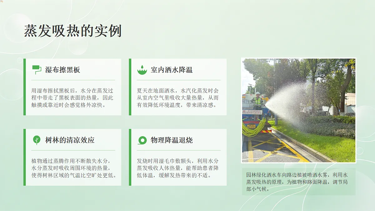18466221第5页
