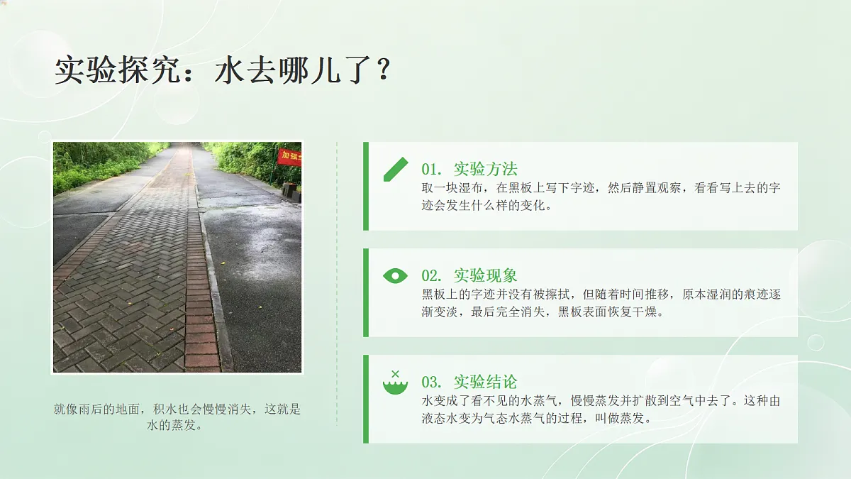 18466221第7页