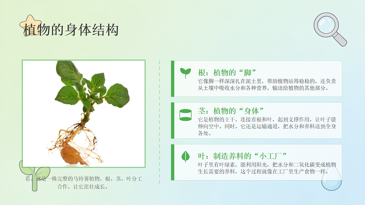 18466222第6页
