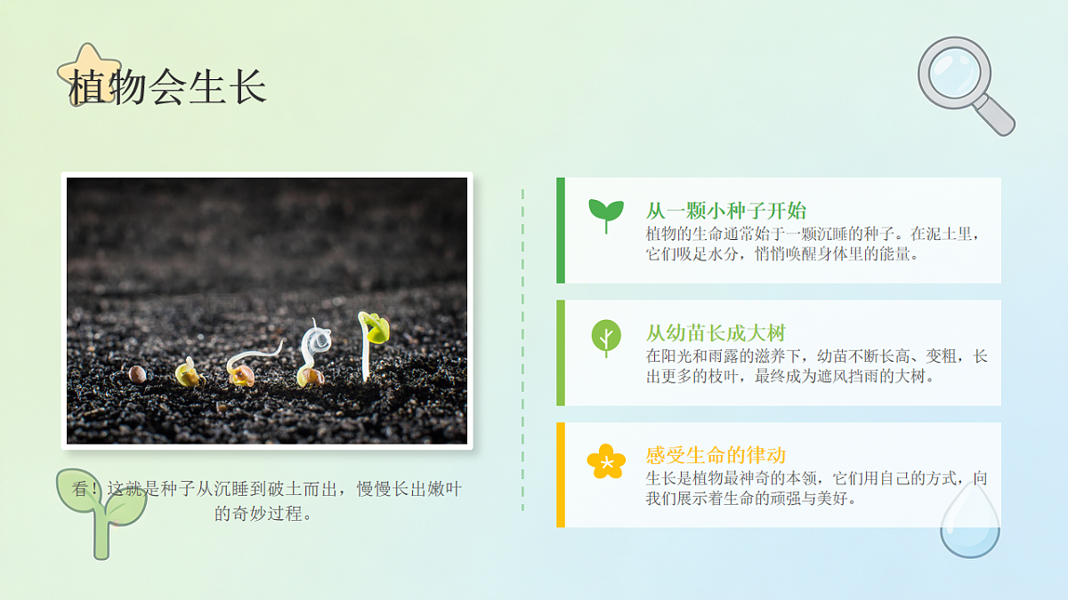 18466222第7页