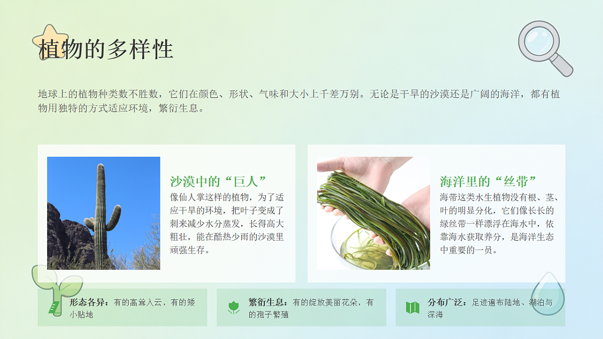18466222第8页