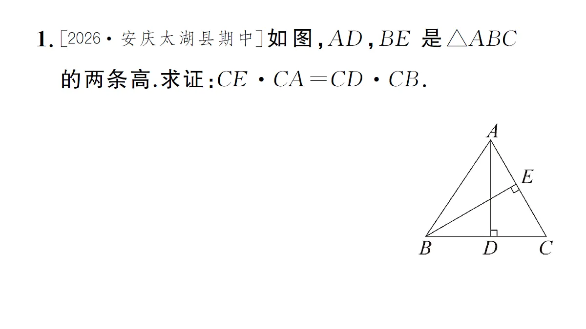18467031第3页