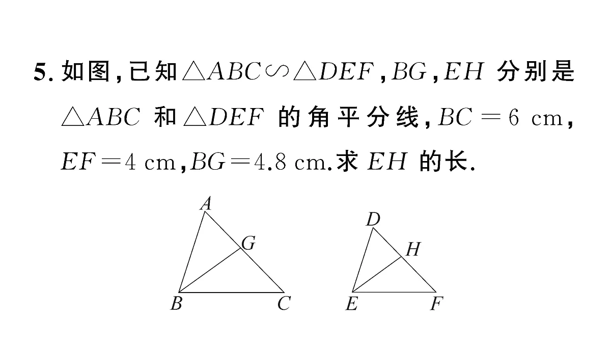 18467206第7页