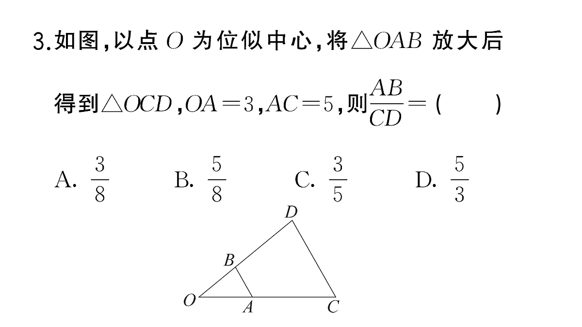 18467213第5页