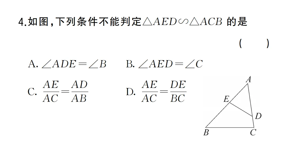 18467255第5页