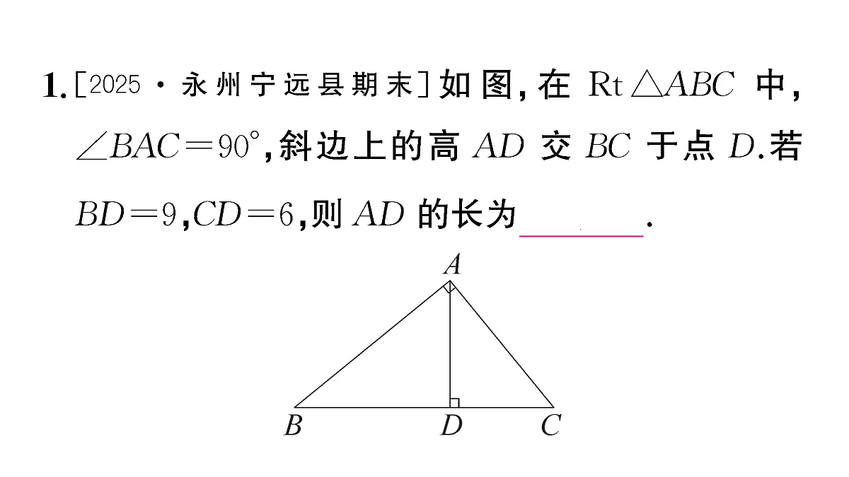 18467338第3页