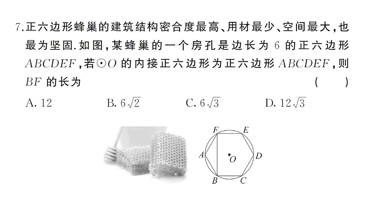 18468568第7页