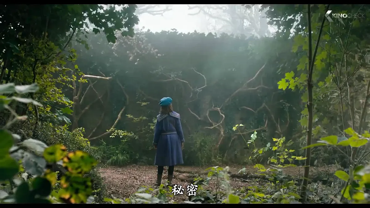 18468985第3页